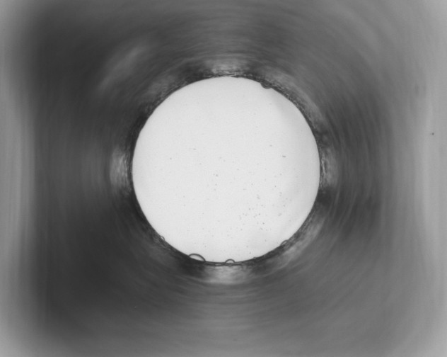 X0000100910575200807220953