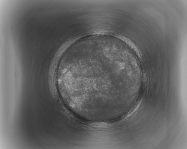 X0000100910577200807220952