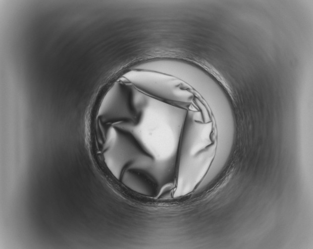 X0000100910581200807220952