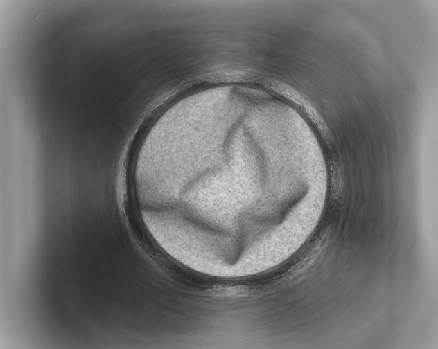 X0000100910582200807220952