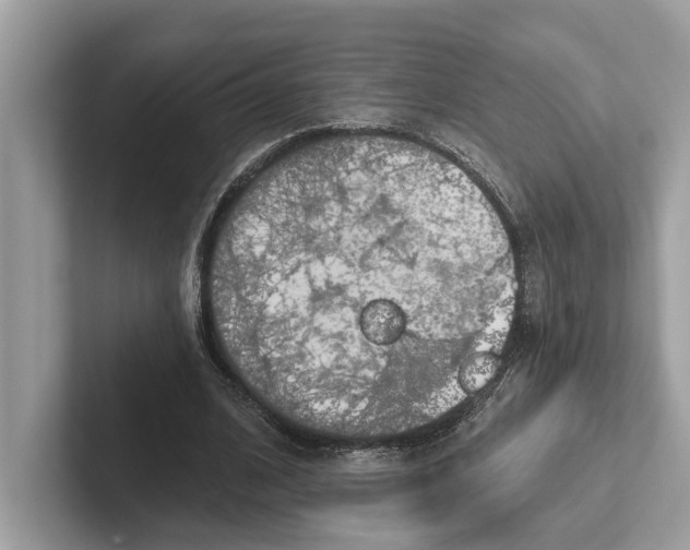 X0000100910584200807220952