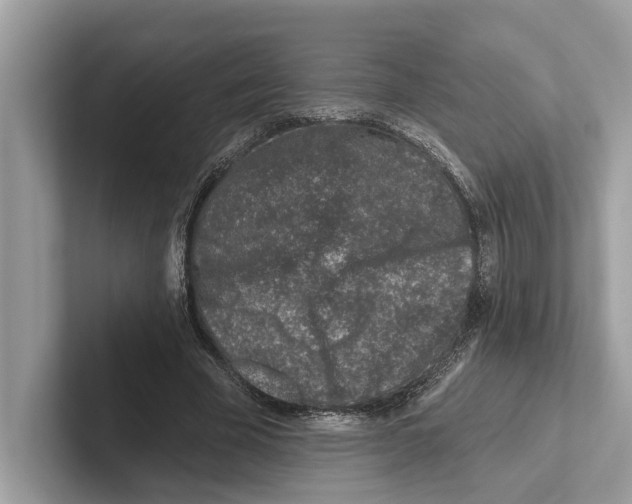 X0000100910585200807220952