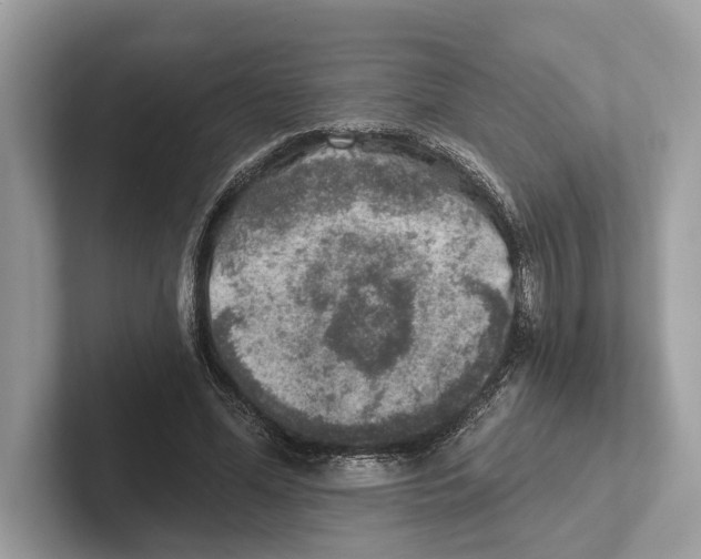 X0000100910588200807220952