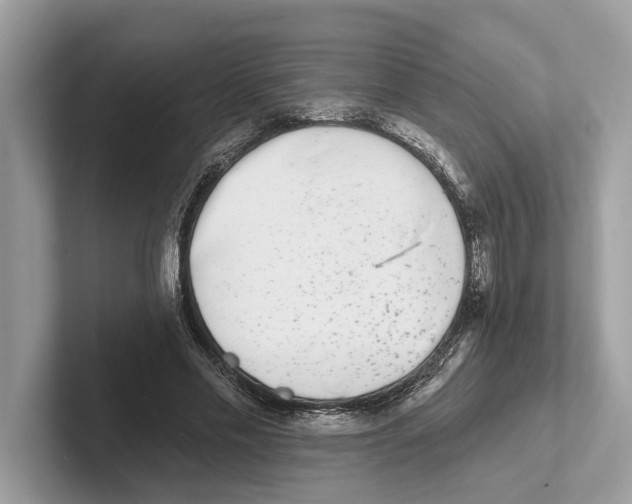 X0000100910589200807220952