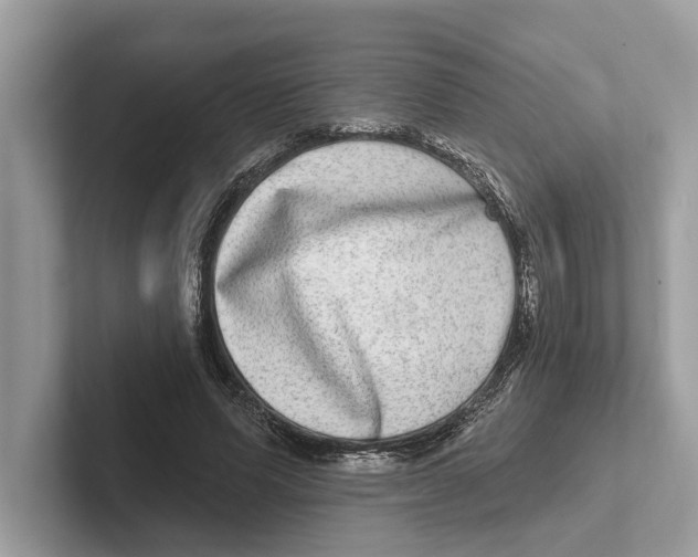 X0000100910591200807220952