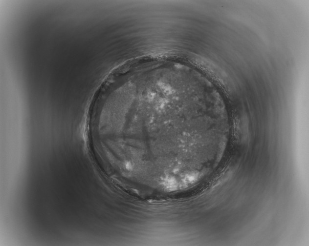 X0000100910592200807220952