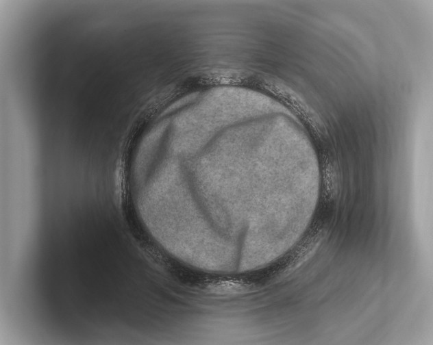 X0000100910594200807220952