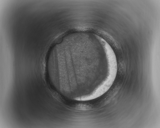 X0000100910596200807220952