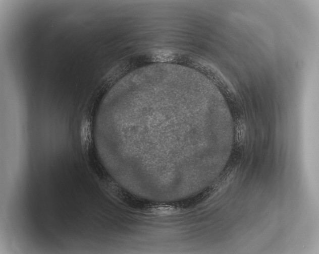 X0000100910598200807220952