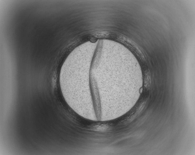 X0000100910604200807220952