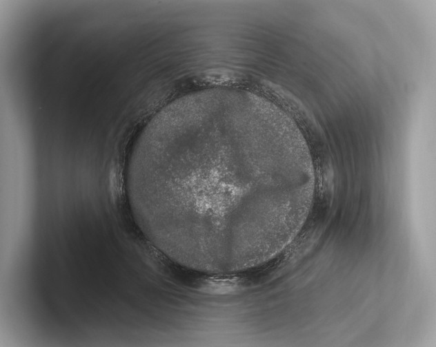 X0000100910606200807220952