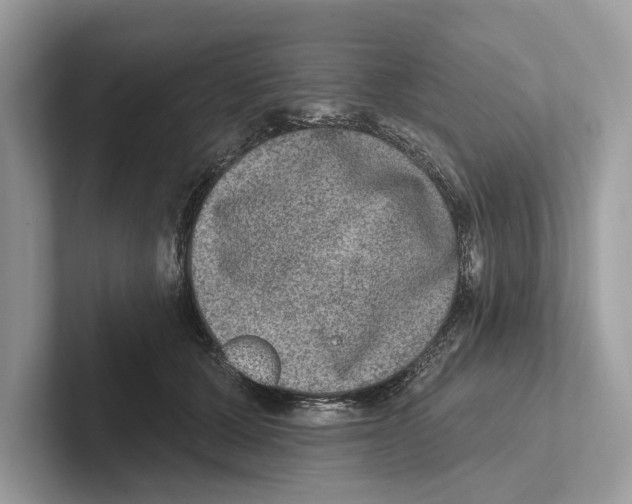 X0000100910607200807220952