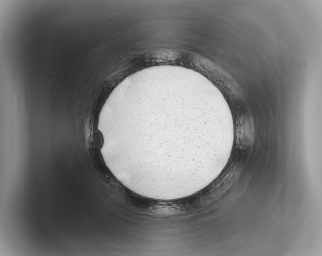 X0000100910608200807220952