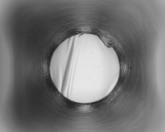 X0000100910609200807220952