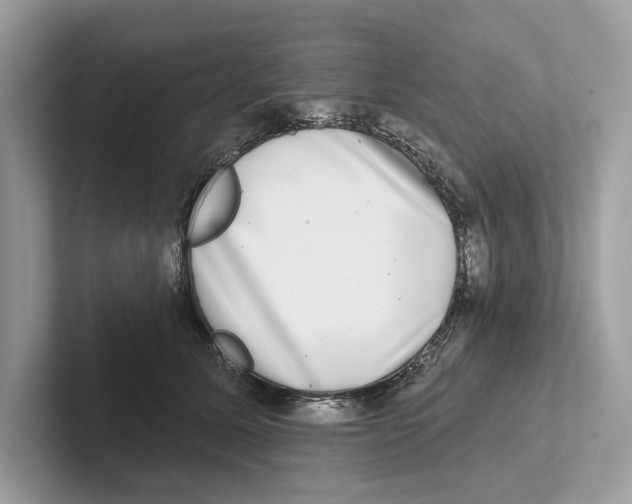 X0000100910611200807220952