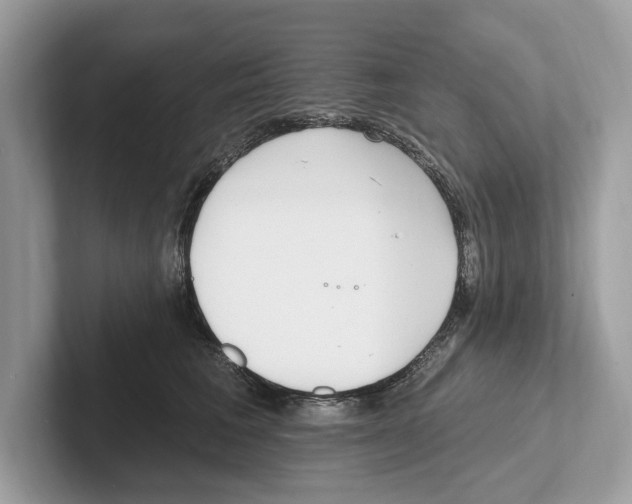 X0000100910613200807220952