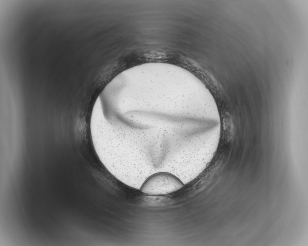 X0000100910614200807220952