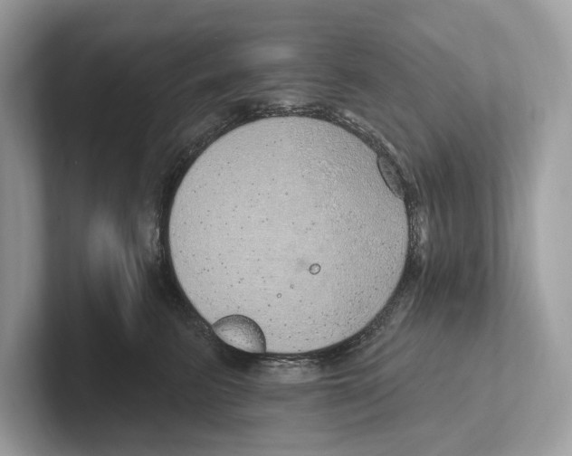 X0000100910615200807220952