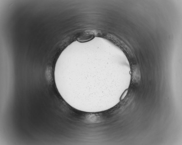 X0000100910616200807220952