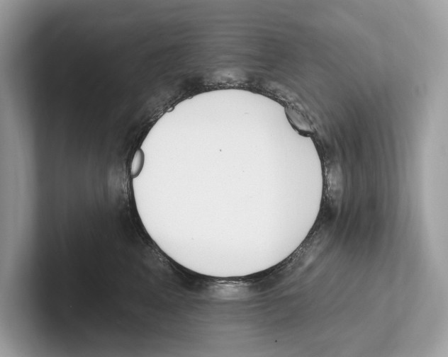 X0000100910617200807220952