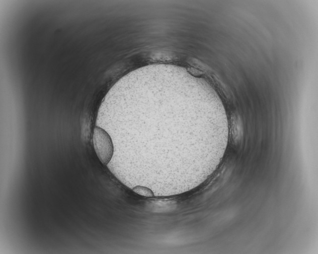 X0000100910619200807220952