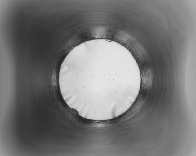 X0000100910620200807220952