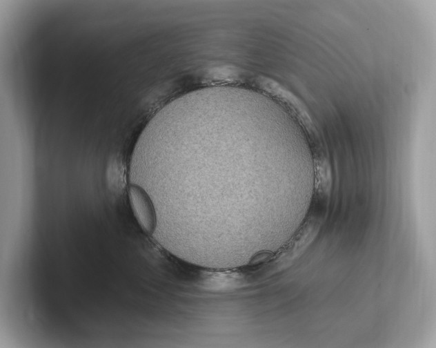 X0000100910621200807220952