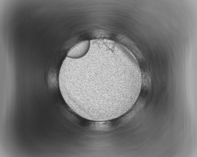 X0000100910622200807220952