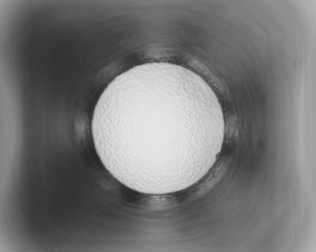 X0000100910623200807220952