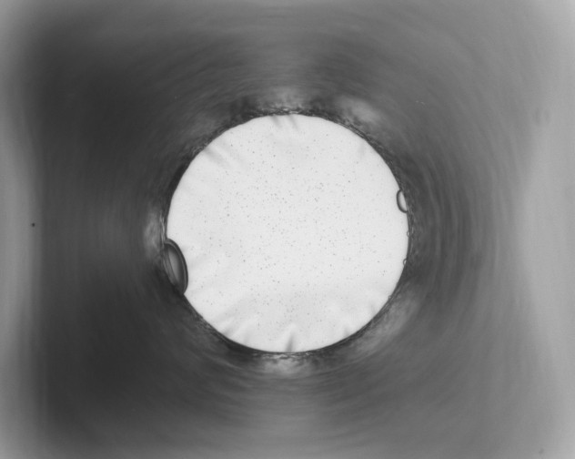 X0000100910624200807220952