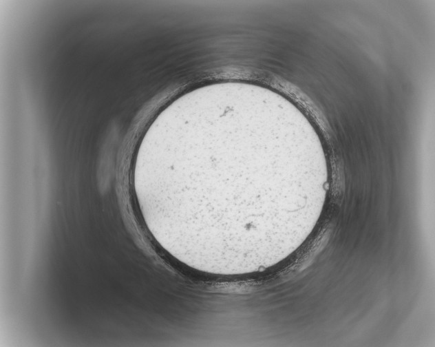 X0000100910625200807220951