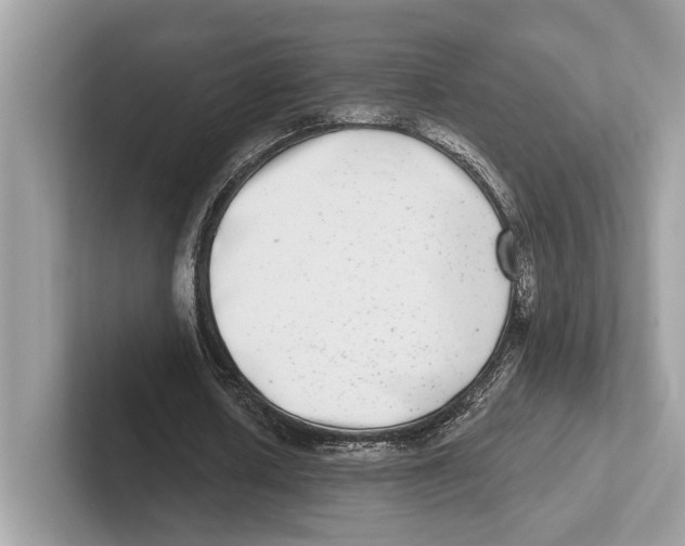 X0000100910626200807220951