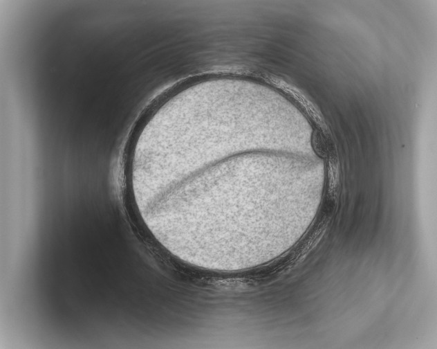 X0000100910628200807220951