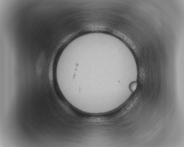 X0000100910629200807220951