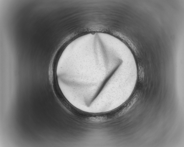 X0000100910630200807220951