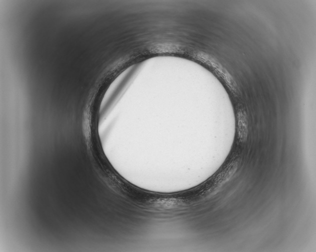 X0000100910631200807220951