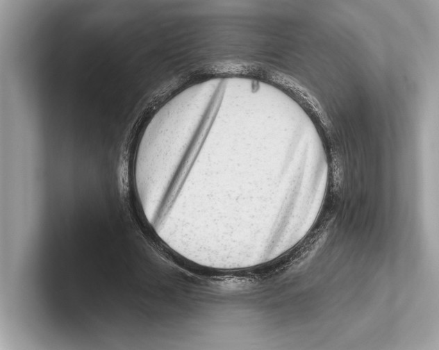 X0000100910633200807220951