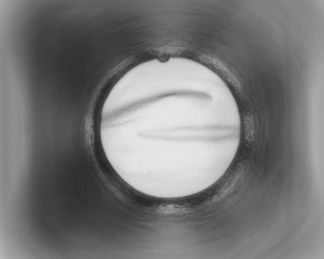 X0000100910634200807220951