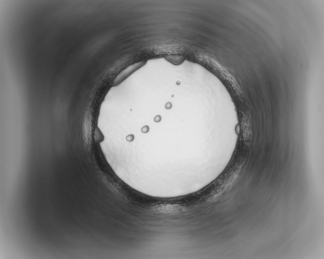 X0000100910637200807220951