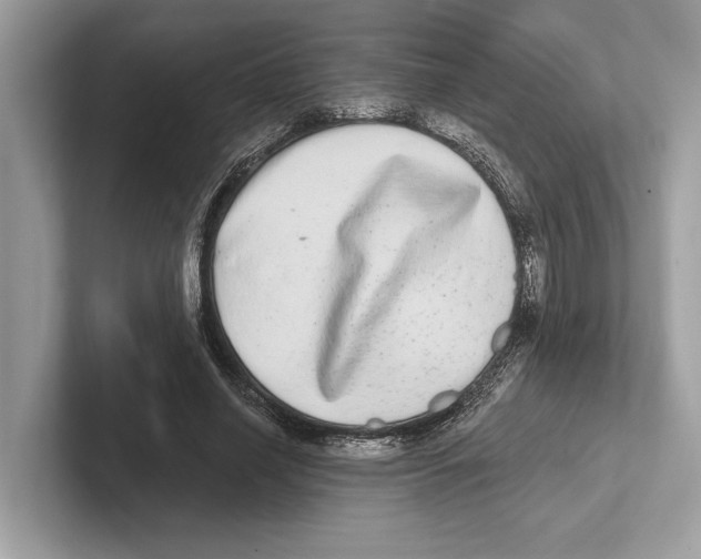 X0000100910638200807220951