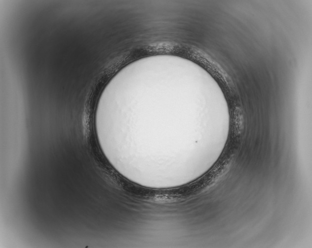 X0000100910641200807220951