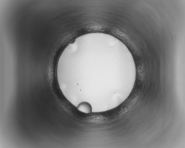 X0000100910642200807220951