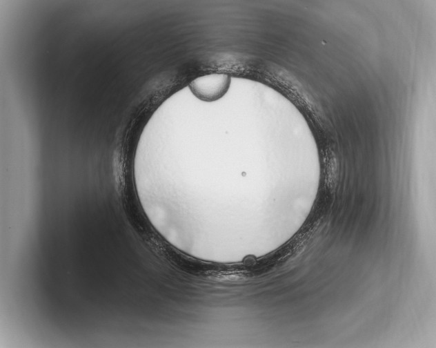 X0000100910643200807220951