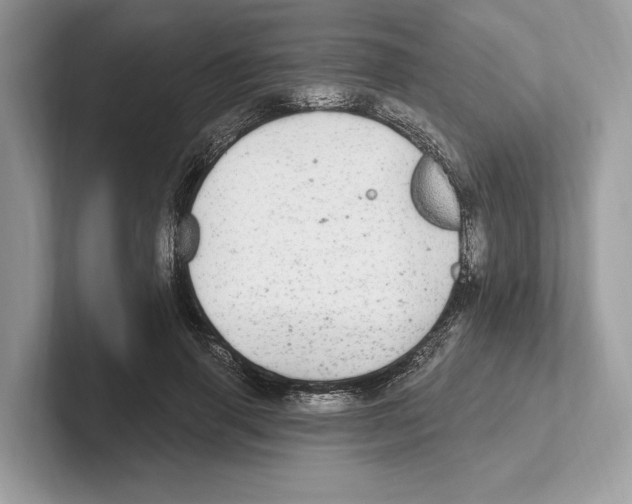 X0000100910645200807220951