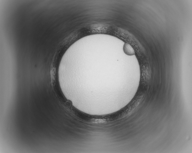 X0000100910649200807220951