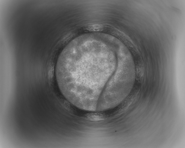 X0000100910652200807220951