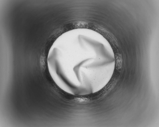 X0000100910654200807220951