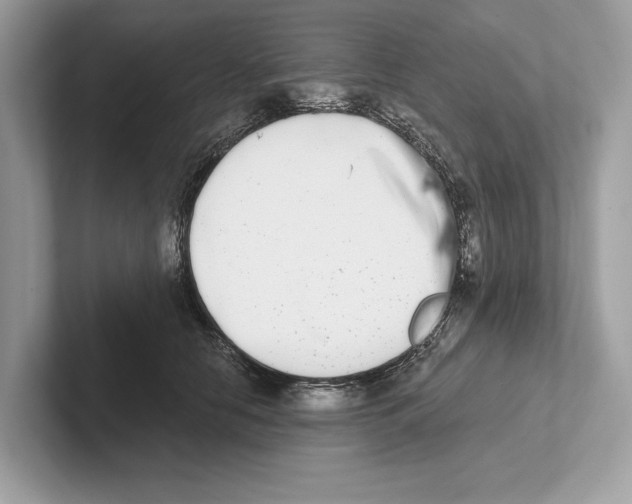 X0000100910658200807220951