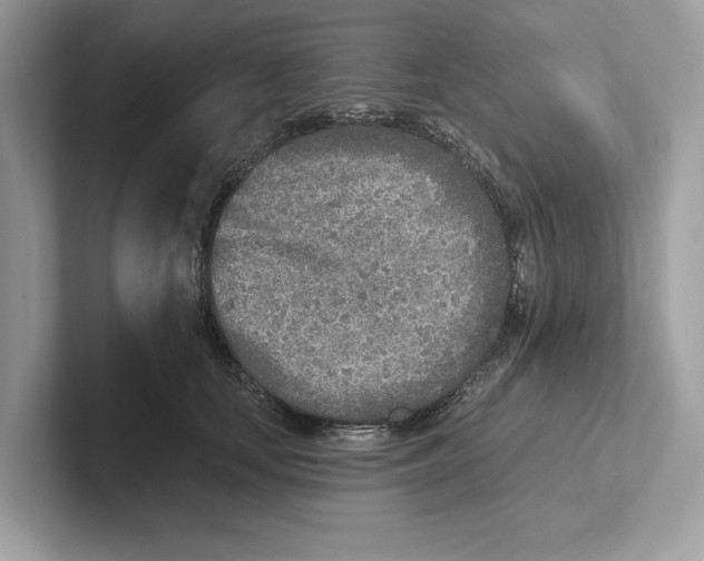 X0000100910659200807220951