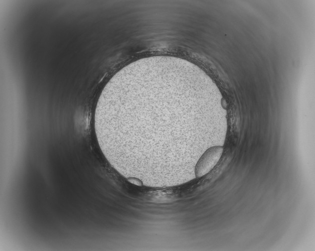 X0000100910660200807220951